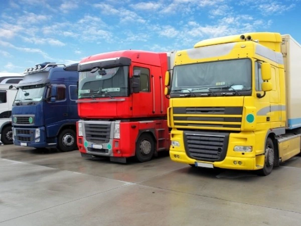 İzmir Sarayköy Nakliye